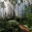 Redwood National & State Parks