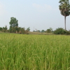 Kampong Thum