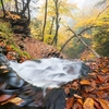 Ricketts Glen State Park Waterfall Trail