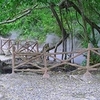 Rimbo Panti Nature Reserve Rimbo Panti Nature Reserve