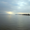 Haldia