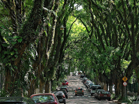 Gonçalo de Carvalho Street