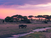 Ruaha National Park Ruaha National Park