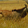 Ruma National Park Ruma National Park
