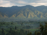 Rwenzori Mountains National Park