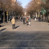 Rambla de Catalunya Rambla de Catalunya
