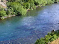 Chimehuin River Chimehuin River