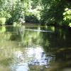 River Crane