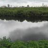 Mithi River