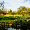 River Wandle