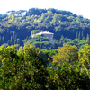 Villa Madama Villa Madama