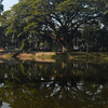 Ramna Park Ramna Park