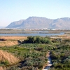 Rondevlei Nature Reserve Rondevlei Nature Reserve