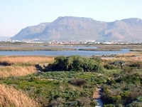 Rondevlei Nature Reserve