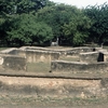 León Viejo León Viejo