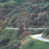 Runyon Canyon Park Runyon Canyon Park