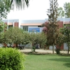 Sahiwal Sahiwal