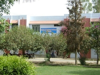 Sahiwal
