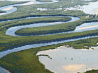 Saloum Delta