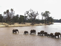 3 Days Samburu Game Reserve 3 Days Samburu Game Reserve