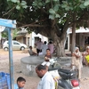 Sanghol Sanghol