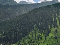 Sangla Sangla