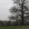 Scadbury Park