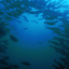 Agua Rica Diving Center Agua Rica Diving Center