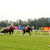 Selangor Turf Club Selangor Turf Club