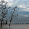 Sembilang National Park Sembilang National Park