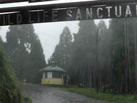 Senchal Wildlife Sanctuary