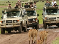 7 Day The Best of Tanzania - Luxury 7 Day The Best of Tanzania - Luxury
