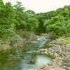 Sanjay Gandhi National Park