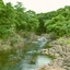 Sanjay Gandhi National Park Sanjay Gandhi National Park
