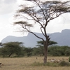 Shaba National Reserve