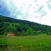 French Alps