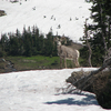 Sheep Mountain