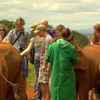 Sheldrick Elephant Orphanage Sheldrick Elephant Orphanage