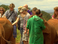 Sheldrick Elephant Orphanage Sheldrick Elephant Orphanage