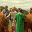 Sheldrick Elephant Orphanage