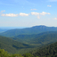 Virginia Virginia