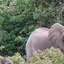 Shimba Hills National Reserve