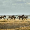Sibiloi National Park