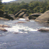 Silent Valley - Kuntipuzha River Silent Valley - Kuntipuzha River