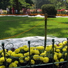 Sims Park Sims Park
