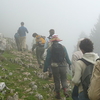 Singalila National Park Trekking