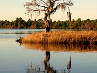 Singletary Lake