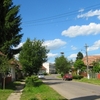 Galesti Galesti