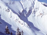 Snowbird Ski & Summer Resort Snowbird Ski & Summer Resort