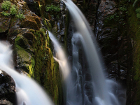 Olympic National Park